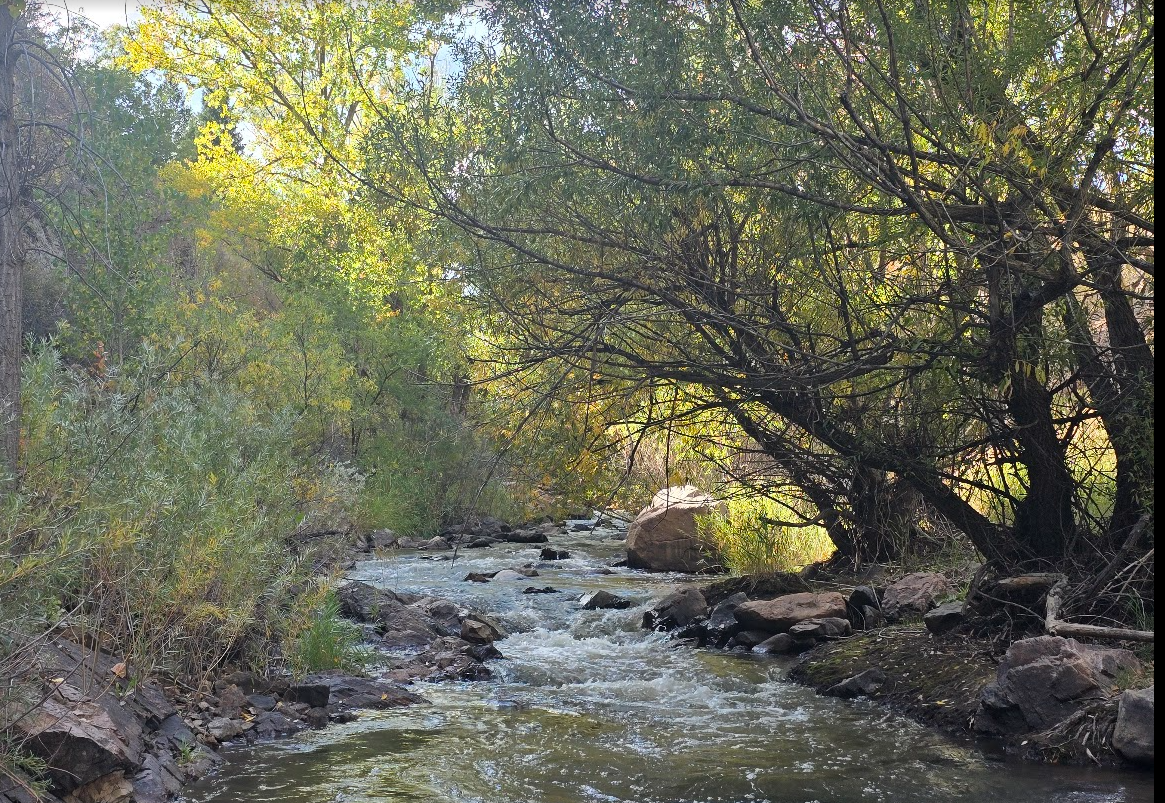 Bear creek